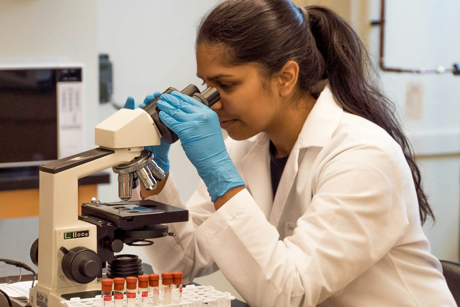 csir case study